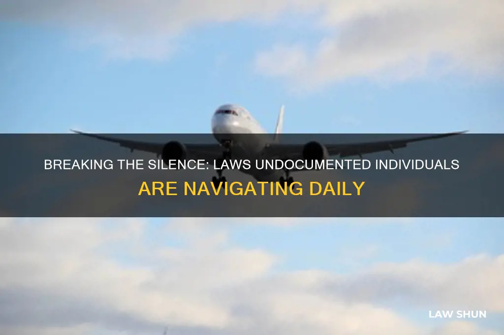 what laws are undocumented people creaking