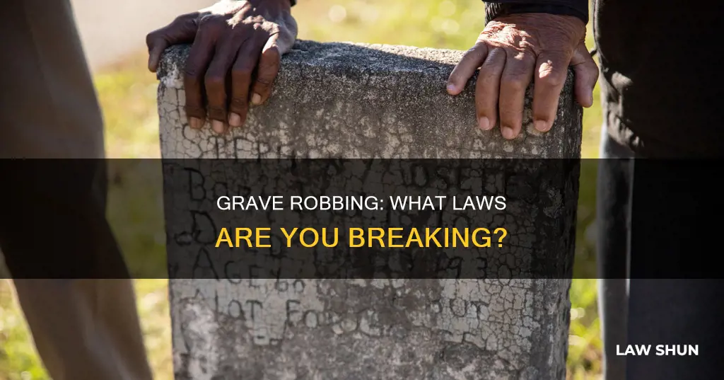 what laws are you breaking by digging up a grave