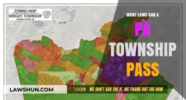 Understanding Township Lawmaking Powers