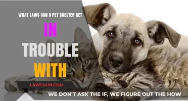 Pet Shelters: Navigating Legal Compliance