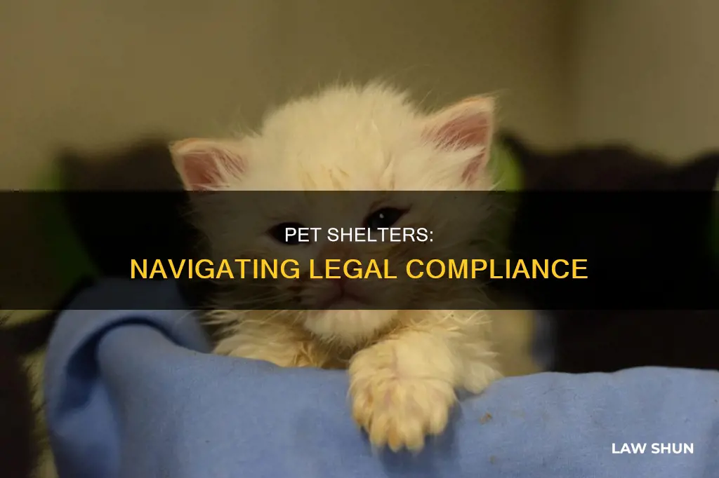 what laws can a pet shelter get in trouble with