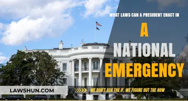 Presidential Power: Emergency Laws Explained
