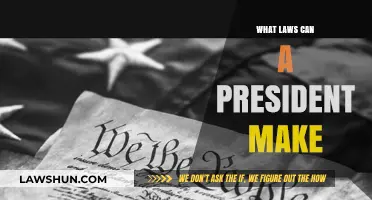 Presidential Powers: Lawmaking Explained