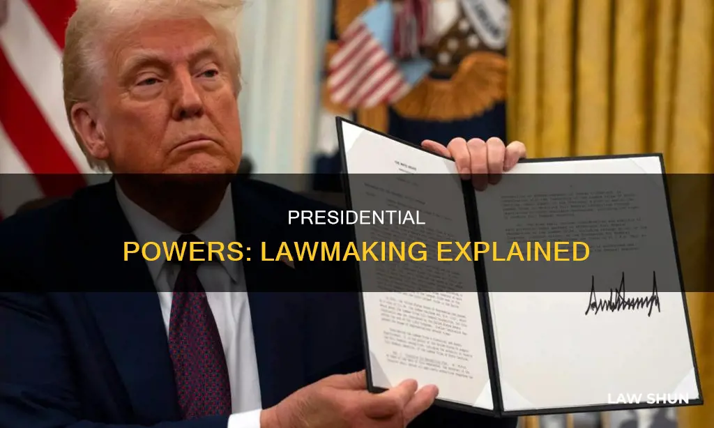 what laws can a president make