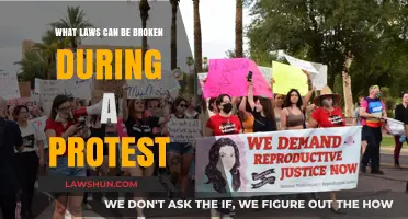 Protest Rights: Know Your Legal Boundaries
