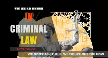 Criminal Law Reform: What Changes are Needed?