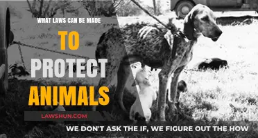 Protecting Animals: What Laws Can Be Enforced?