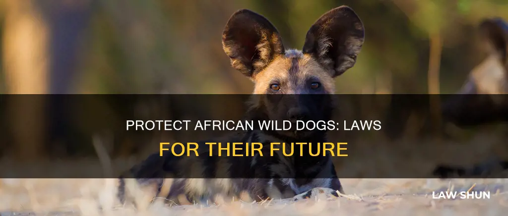 what laws can be past to save african wild dogs