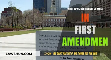 Congress and the First Amendment: Lawmaking Boundaries