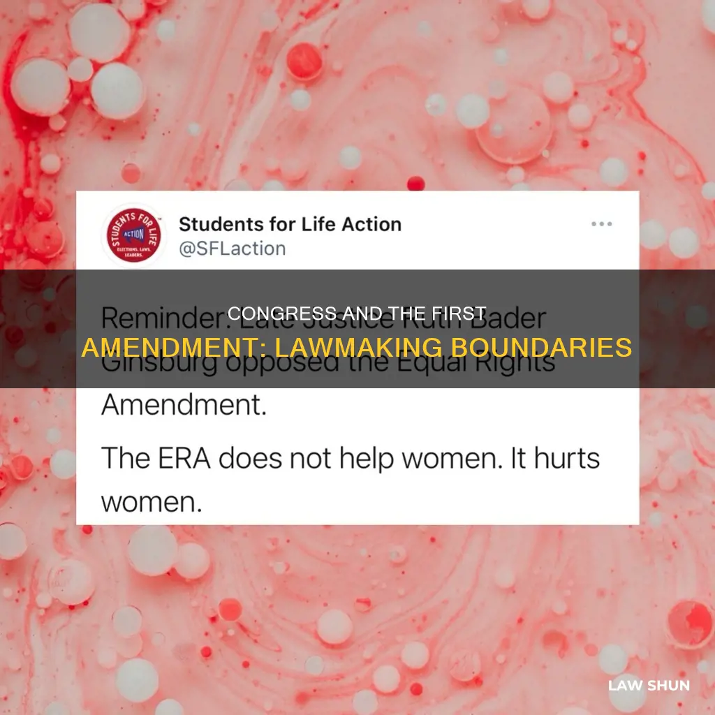what laws can congress make in first amendment