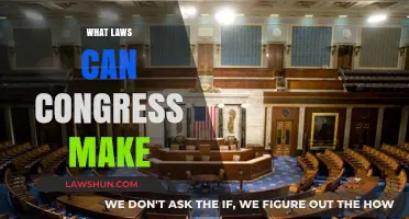 Congress' Lawmaking Powers: Understanding the Limits