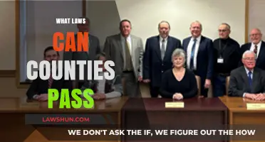 Counties' Lawmaking Powers: What's Allowed?