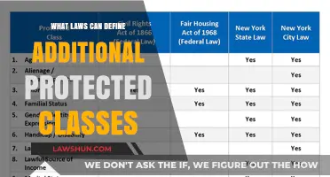 Protected Classes: Understanding Legal Protections and Definitions
