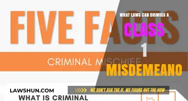 Misdemeanor Charges: Understanding Dismissal Laws