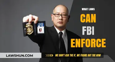FBI Authority: Laws They Can Enforce