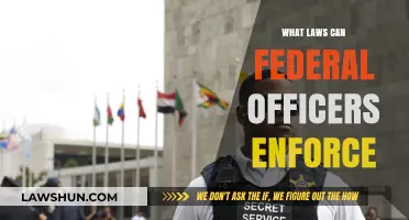 Federal Officers: What Laws Do They Enforce?