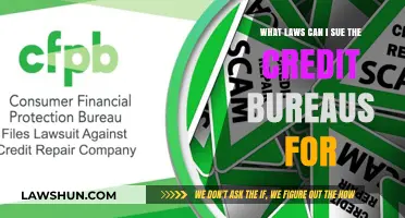 Suing Credit Bureaus: Your Legal Rights Explained