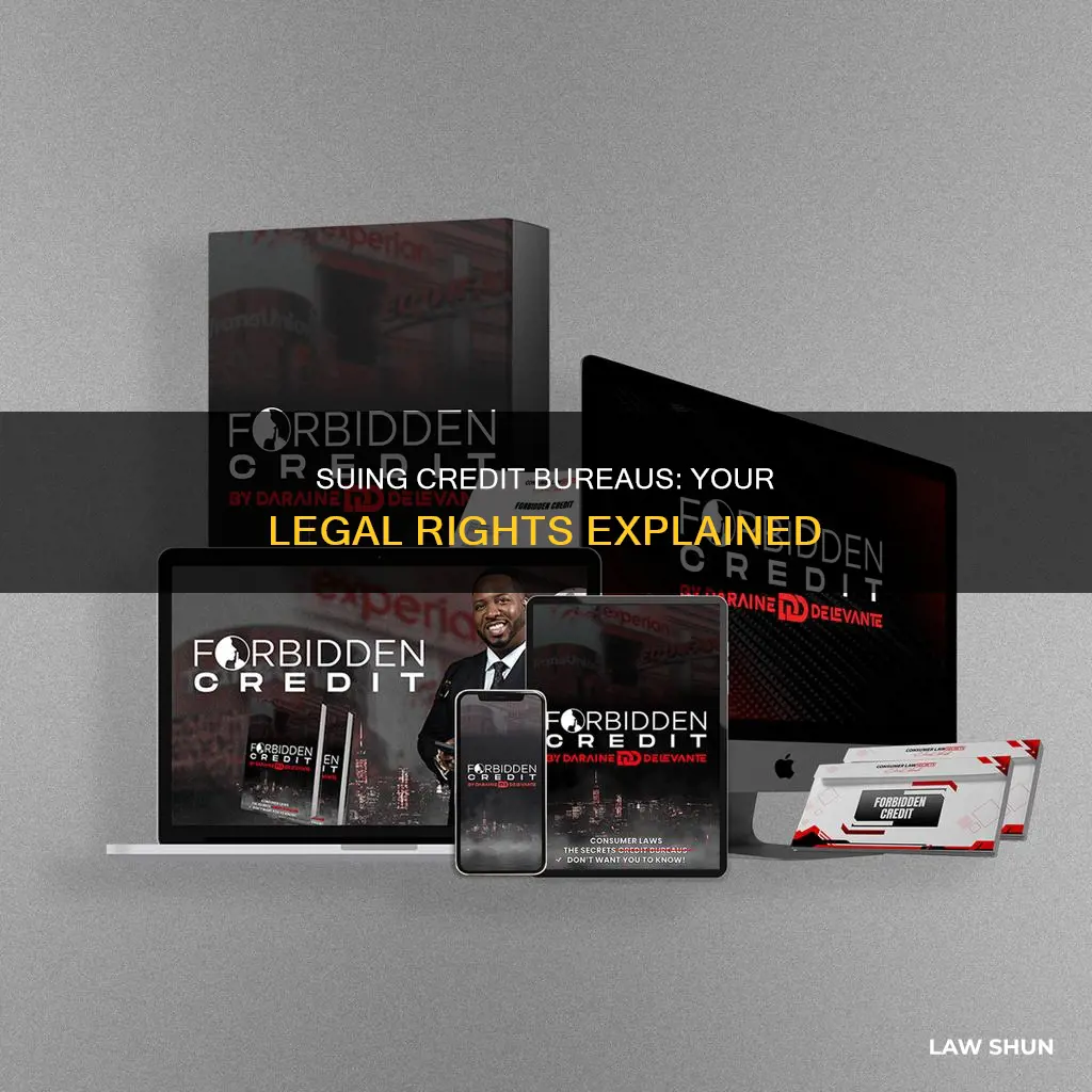 what laws can i sue the credit bureaus for