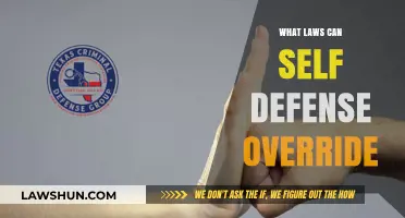 Self-Defense: When Can You Break the Law?