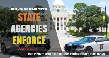 Special State Agencies: What Laws Do They Enforce?