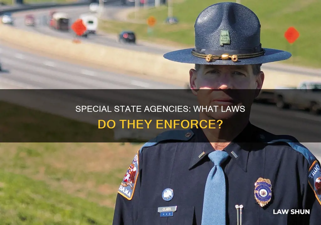 what laws can special purpose state agencies enforce