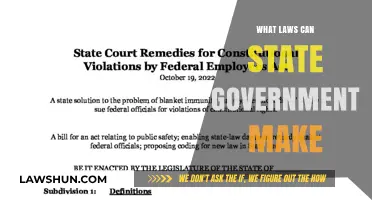 State Government Lawmaking Powers Explored