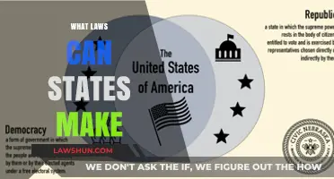 State Lawmaking: What's Allowed?