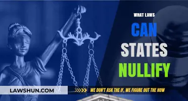 Nullifying Federal Laws: States' Powers Explored