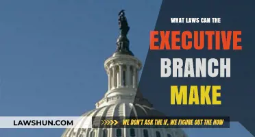Executive Power: Lawmaking Explained