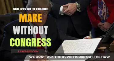 Presidential Power: Laws Without Congress