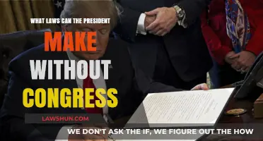 Presidential Power: Laws Without Congress