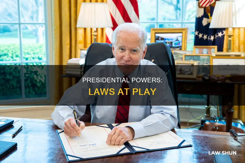 what laws can the president use during term