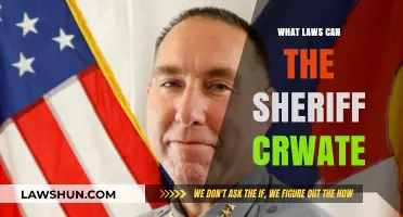 Sheriff's Power: Creating Laws Explained