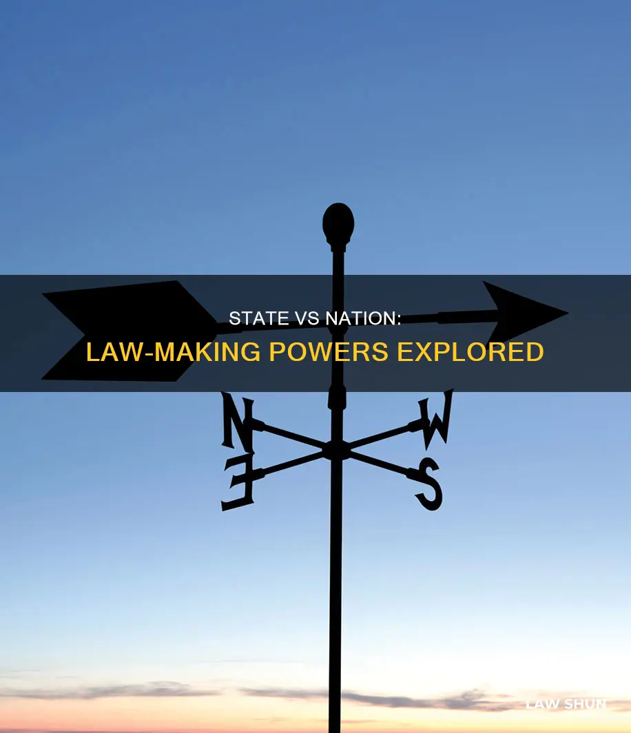 what laws can the state vs nation pass