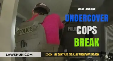 Undercover Cops: What Laws Can They Break?