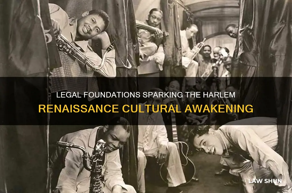 what laws contribute to the start of the harlem renaissance