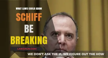 Adam Schiff's Legal Breaches: Uncovering Potential Violations