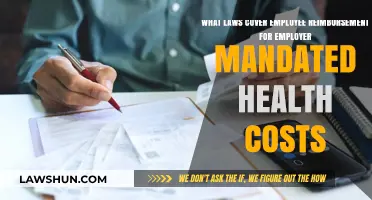 Employee Reimbursement Laws for Employer-Mandated Health Costs Explained