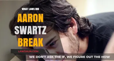 Aaron Swartz's Digital Defenses: Unraveling the Charges