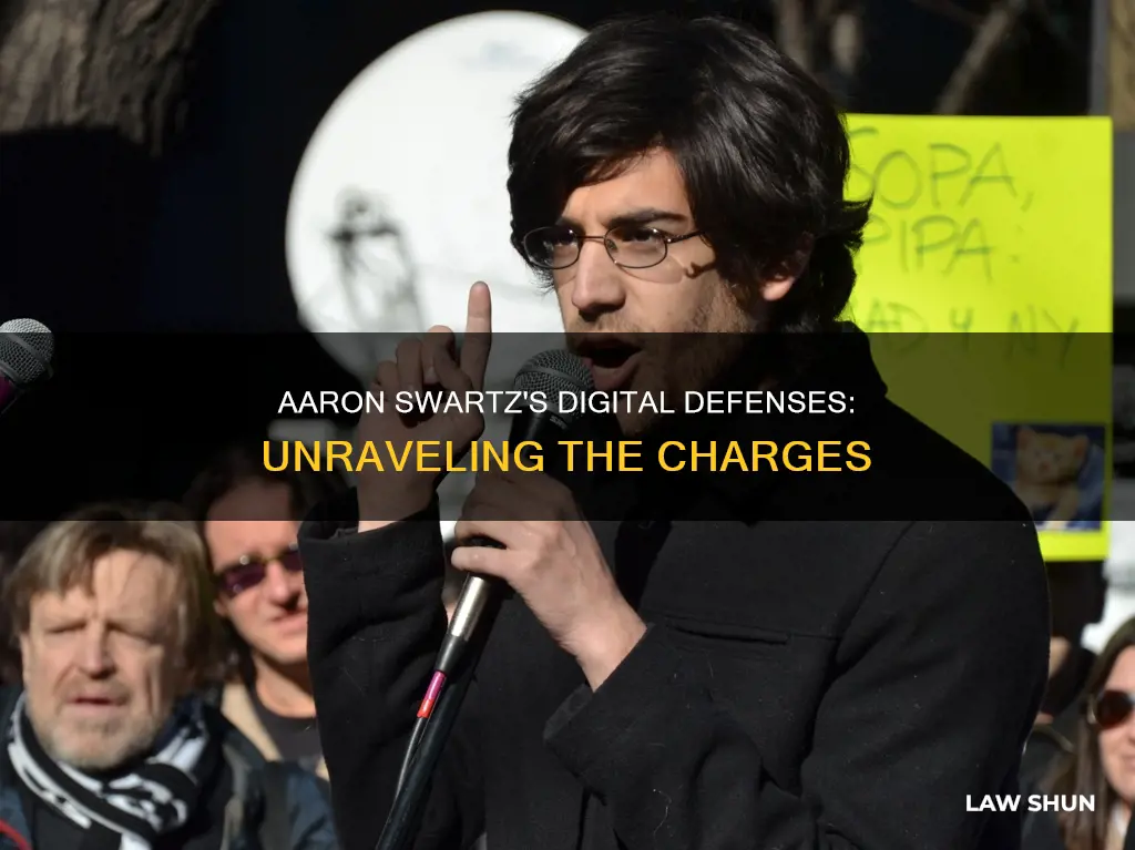 what laws did aaron swartz break