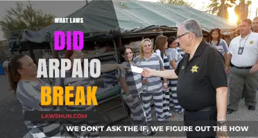 Arpaio's Unlawful Actions: Unveiling the Violations