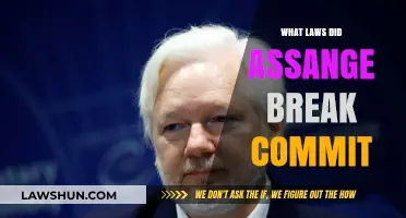 Assange's Leaks: Unraveling the Legal Web of Espionage and Computer Fraud