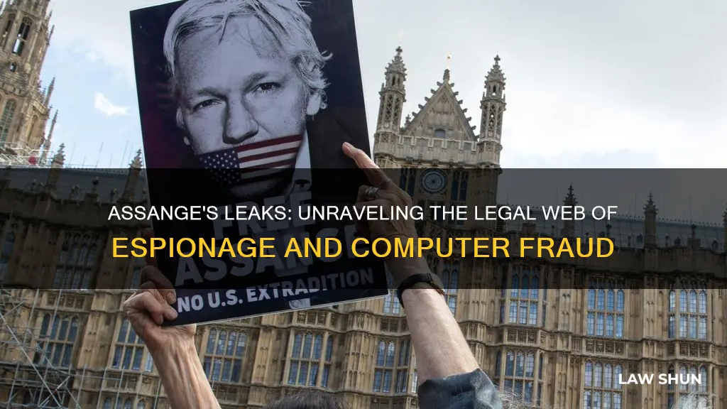 what laws did assange break commit