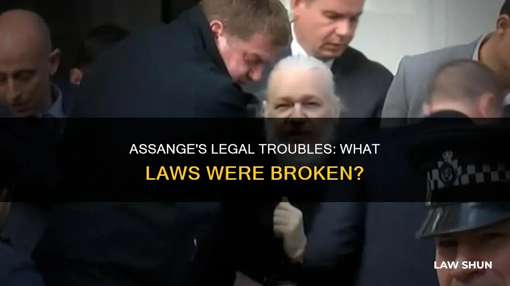 what laws did assange break commit