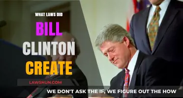 Clinton's Legacy: Laws and Their Impact