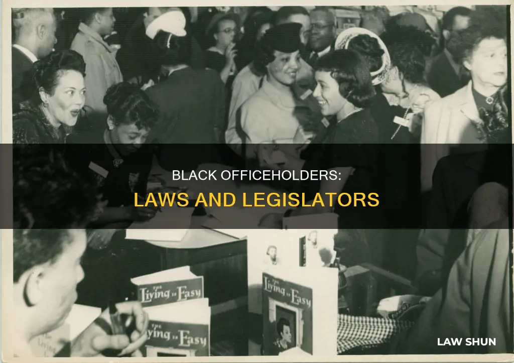 what laws did black officeholders create