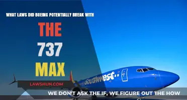 Boeing's 737 Max: Unraveling the Legal Web of Alleged Misconduct