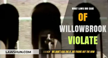 Willowbrook: Violations of Human Rights and Dignity