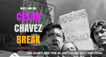 Cesar Chavez's Legacy: Unveiling the Laws He Broke