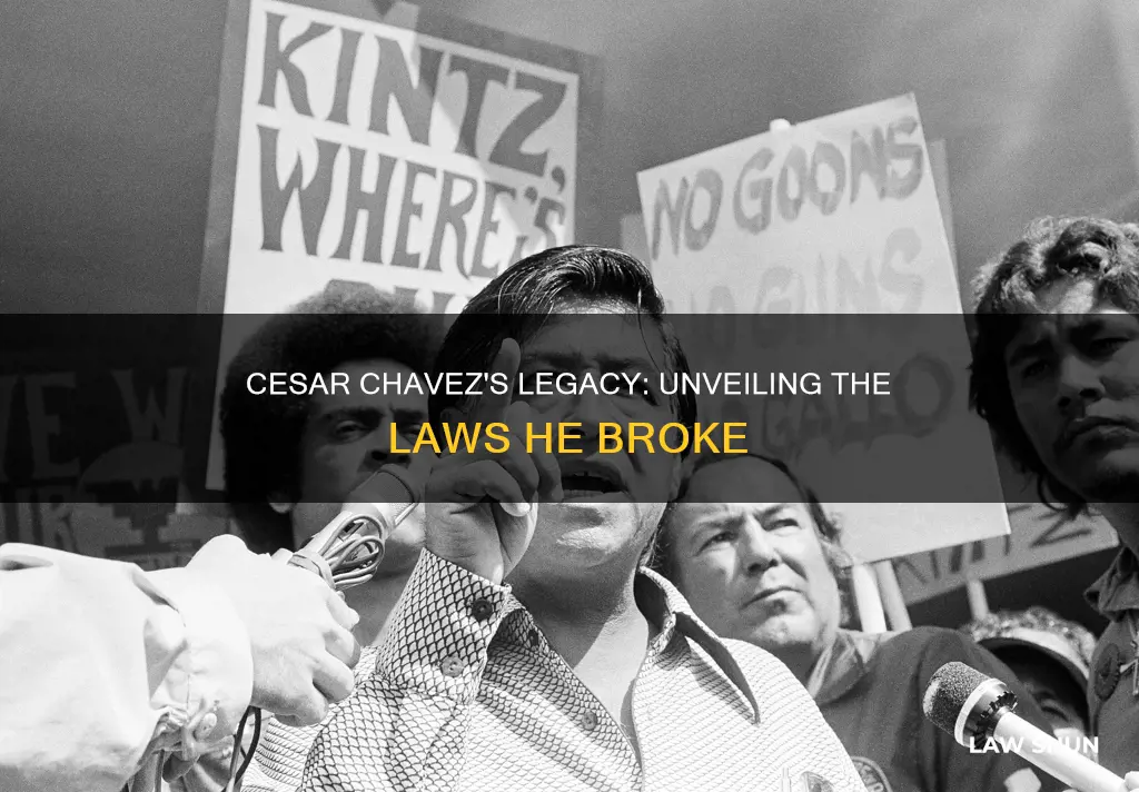 what laws did cesar chavez break